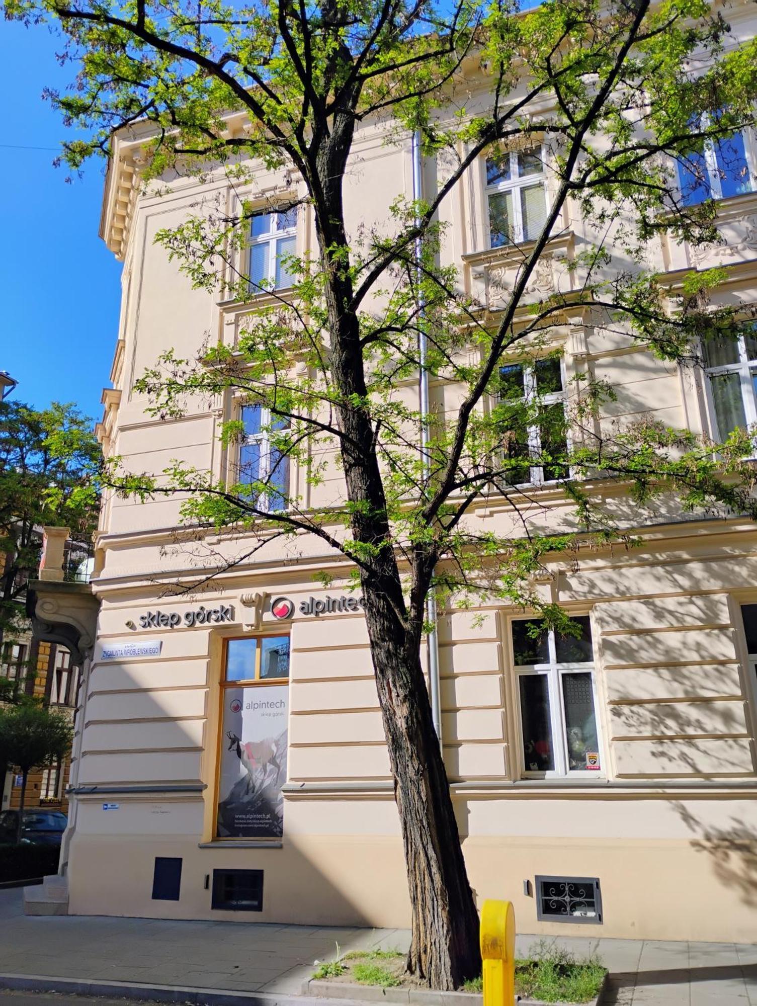 Apartament Rozy Krakow Bagian luar foto